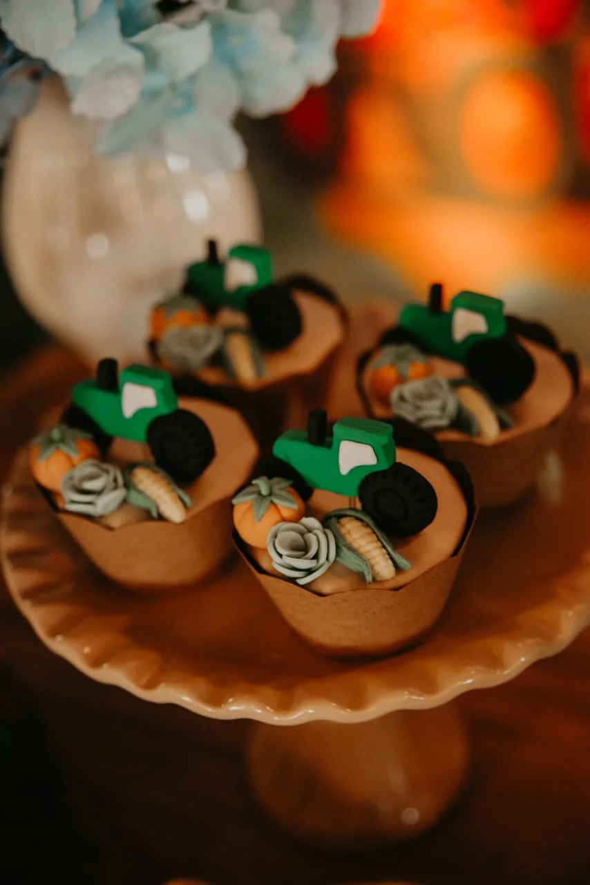 Luiza, mamãe do Gregório — fotografia 4